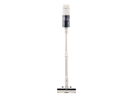 Roborock H60